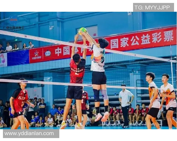 广州排球队个人能力排名创新高展现排球新风采与实力提升