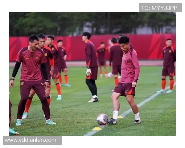 沈阳190cm足球明星的崛起与未来发展之路探讨